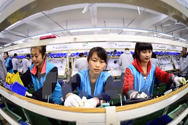 Công nhân làm việc tại nhà máy ở Rushan, tỉnh Sơn Đông, miền Đông Trung Quốc ngày 12/11/2015. (Nguồn: THX/TTXVN)