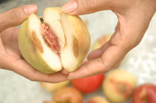Ảnh minh họa: Health.