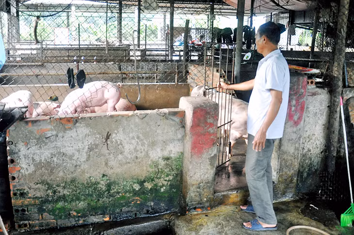 Cơ sở giết mổ gia súc, gia cầm tập trung của Công ty TNHH Chế biến thực phẩm Xuân Trường (TP Hạ Long) đã có hồ sơ đề nghị, nhưng vẫn chưa được hỗ trợ theo các nội dung quy định tại Nghị quyết số 189/2015/NQ-HĐND.