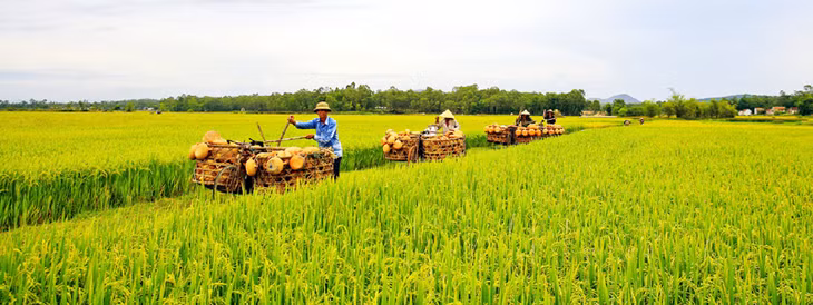 Xưa kia người Trù đem hàng đi bán chủ yếu là gánh, rồi bằng xe đạp thồ. Gốm Trù Sơn đã có mặt ở hầu khắp các tỉnh miền Trung.