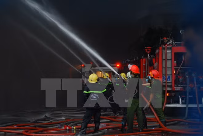(Ảnh minh họa: Mạnh Linh/TTXVN)
