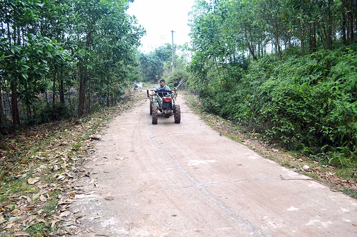 Đường thôn An Bình (xã Quảng Lợi) hoàn thành năm 2015 từ nguồn vốn Chương trình 135.
