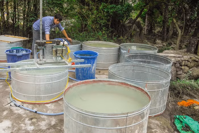 Bột dong được ngâm, lắng, lọc nhiều lần để loại bỏ hoàn toàn tạp chất. Lúc đó mới được đưa vào tráng thành bánh miến.