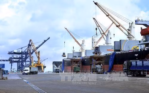 Xử lý các cá nhân để 213 container quá cảnh nhưng không xuất cảnh. Ảnh minh họa: TTXVN