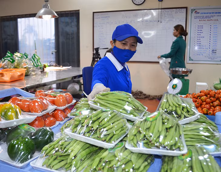 Hiện 188 Green Farm phân loại sản phẩm theo đơn hàng của khách hàng