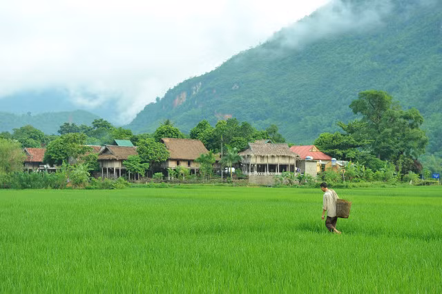 Mai Châu (Hòa Bình): Chỉ cách thủ đô 120 km, Mai Châu là điểm đến lý tưởng cho các gia đình. Ngoài cảnh sắc núi rừng tuyệt đẹp, du khách còn có cơ hội trải nghiệm văn hóa địa phương, ghé thăm các làng bản và thưởng thức nhiều món đặc sản. Mai Châu còn có nhiều sản phẩm thủ công tinh xảo thích hợp làm quà lưu niệm để bạn tặng cho bạn bè, người thân. Ảnh: Vietnamtips/Wordpress.
