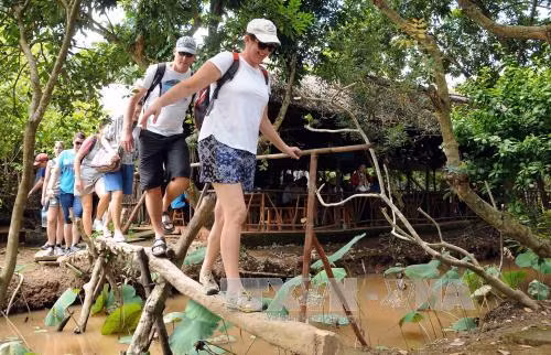 Du khách quốc tế trải nghiệm đi cầu khỉ tại cù lao Thới Sơn (Tiền Giang). Ảnh: An Hiếu/TTXVN