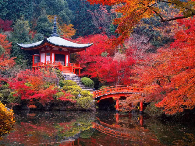 9. Kyoto. Là thủ phủ cổ của Nhật Bản có lịch sử hàng nghìn năm, là nơi đóng đô của các hoàng đế Nhật Bản từ năm 794 - 1868. Với sự kết hợp hoàn hảo giữa cổ điển và hiện đại, những con phố mua sắm nhộn nhịp và hình ảnh các geisha yêu kiều, Kyoto luôn là điểm đến hấp dẫn du khách trong và ngoài nước.