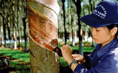 Năng suất lao động của Việt Nam vẫn còn khá thấp so với khu vực. Ảnh: TTXVN