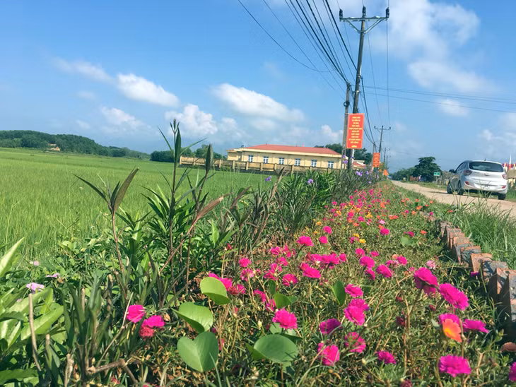 ...và những 