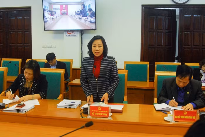 Đồng chí Vũ Thị Thu Thủy, Phó Chủ tịch UBND tỉnh, phát biểu tại buổi làm việc.