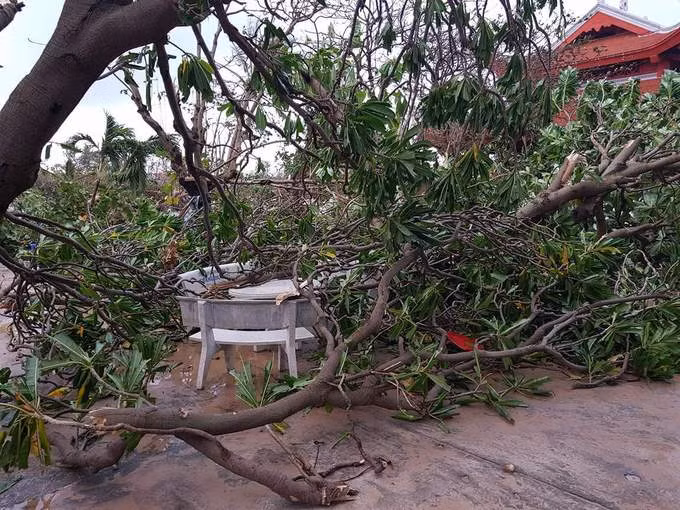 Sáng 25/12, nhiều giờ sau khi bão Tembin quét qua, đảo Trường Sa không mưa, gió nhẹ dần. Các chiến sĩ trên đảo đang tích cực dọn dẹp hậu quả sau bão.