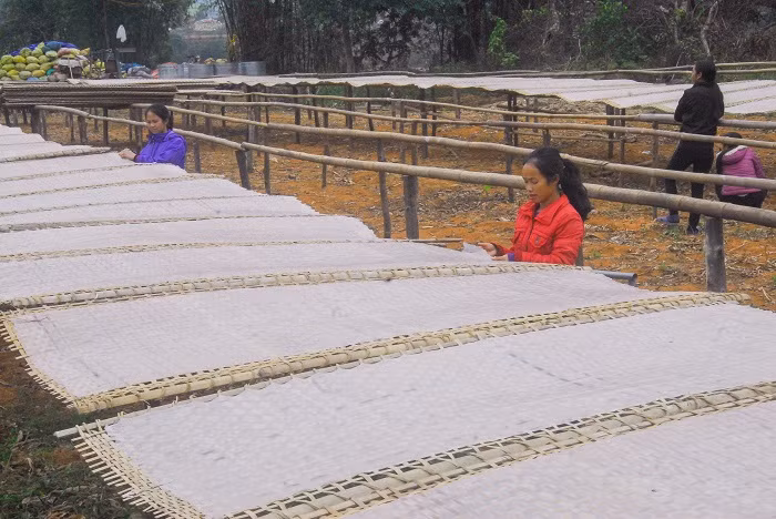 Bánh miến tráng mỏng được hong khô dưới cái nắng gió hanh hao mùa cuối năm, tạo nên hương vị thơm ngon của món ăn đặc sản này.