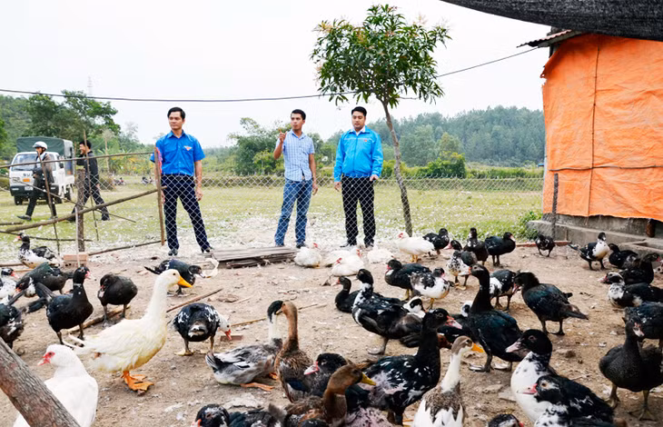 Đoàn Thanh niên huyện Hải Hà thăm mô hình nuôi ngan của anh Nguyễn Trung Phương, Bí thư Chi đoàn thôn 1, xã Quảng Thắng, Hải Hà - thanh niên tiêu biểu được nhận giải thưởng Lương Định Của 2016.