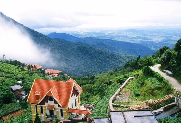 Tam Đảo mù sương (Ảnh: toidi.net)