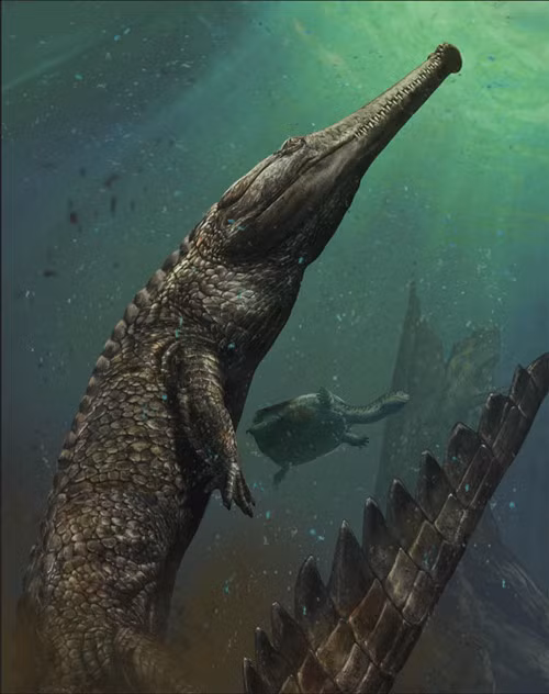 Minh họa về loài cá sấu biển Machimosaurus rex Ảnh: NeoGaf