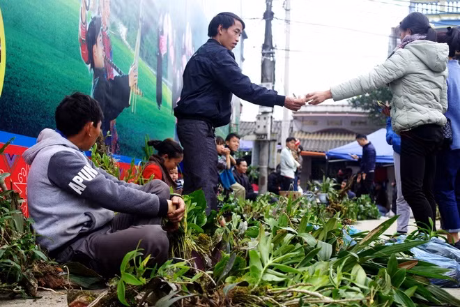 Mua cây cảnh, hoa lan rừng Ngay cổng chợ là một khu bán hoa lan rừng với nhiều loại khác nhau. Mỗi gốc lan ở đây chỉ từ vài chục tới 100.000 đồng. 