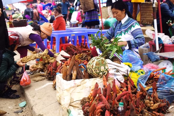 Mua thảo dược, cây thuốc quý Các loại cây thuốc như tam thất, ba kích, hà thủ ô... được người dân địa phương thu hoạch từ khắp nơi trong vùng đem về chợ phiên bán rất nhiều, nên du khách cũng có thể tìm mua để dùng hay đem về làm quà tặng bạn bè, gia đình. 
