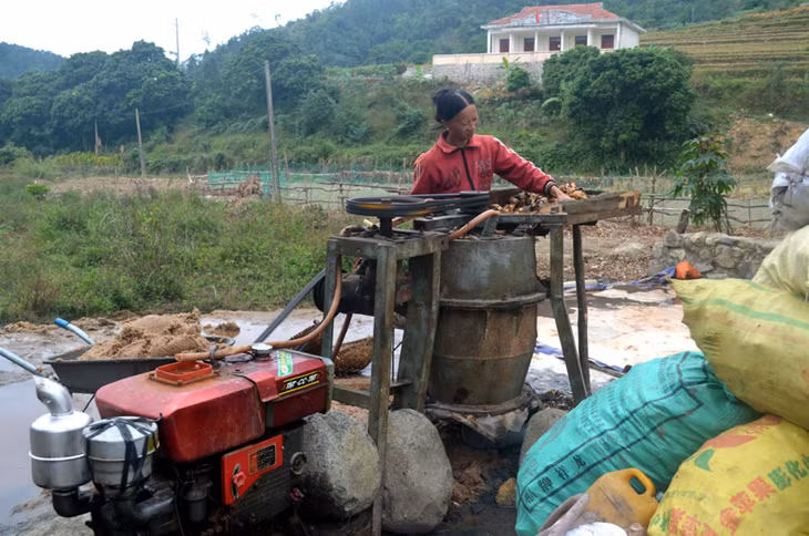 Người điều khiển máy xay xát củ rong cũng là phụ nữ.