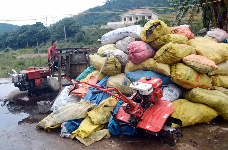 Dong thu hoạch ngoài ruộng được đưa về xếp thành đống lớn trước khi xay xát.