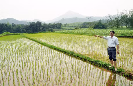 Ông Nguyễn Xuân Tặng, Bí thư Đảng uỷ xã Yên Than (Tiên Yên) giới thiệu hiệu quả mà hệ thống thuỷ lợi nội đồng dẫn nước bằng ống nhựa PVC mang lại cho bà con trong xã.
