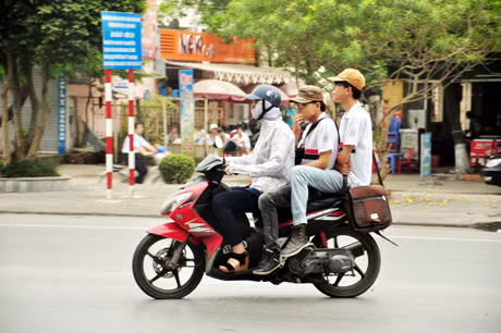Nhiều học sinh được bố mẹ chở đến trường nhưng không đội mũ bảo hiểm.