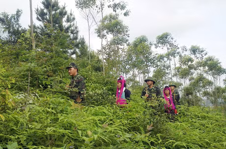 BĐBP huyện Bình Liêu phối hợp với DQTT xã Hoành Mô, tuần tra bảo vệ đường biên, cột mốc.