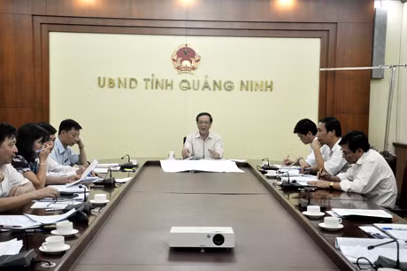 đồng chí Đỗ Thông, Phó Chủ tịch Thường trực UBND tỉnh chủ trì cuộc họp