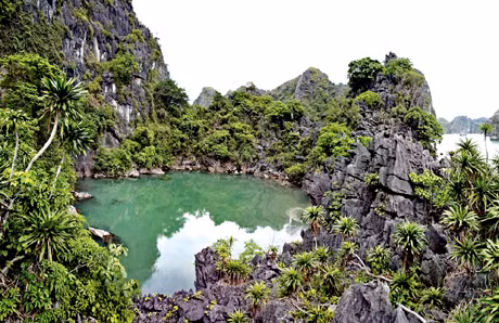 Hồ trong Vịnh...