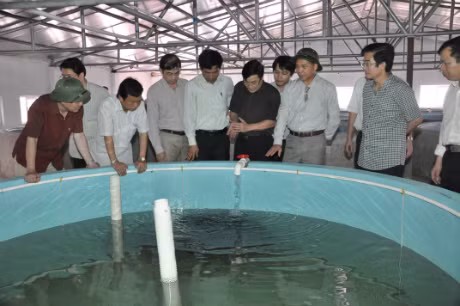 Kiểm tra tình hình sản xuất giống thủy sản tại Trại giống Hải Hòa của Doanh nghiệp tư nhân Phương Anh