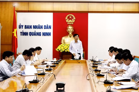 Đồng chí Nguyễn Văn Đọc, Chủ tịch UBND tỉnh, Trưởng Ban Chỉ đạo chủ trì cuộc họp.