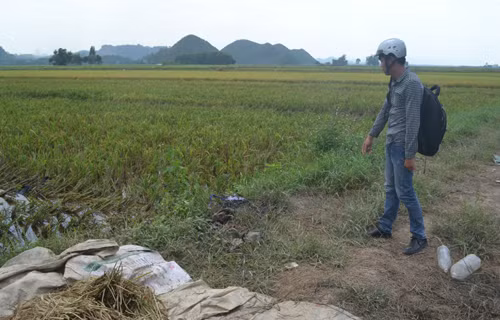  Hiện trường nơi nhóm nông dân thiệt mạng. Ảnh: Lê Hoàng.