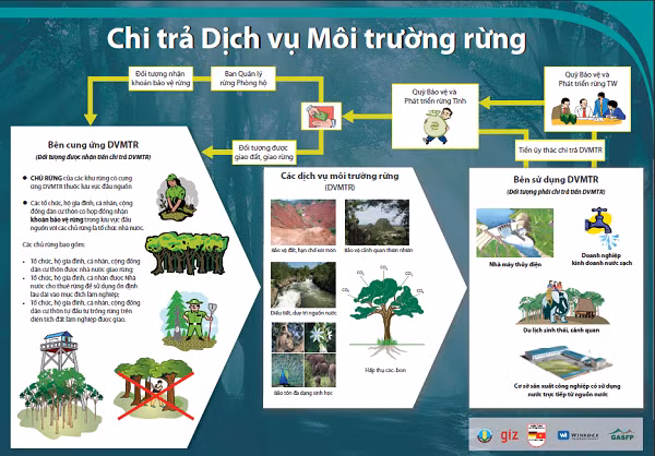 Ảnh minh hoạ