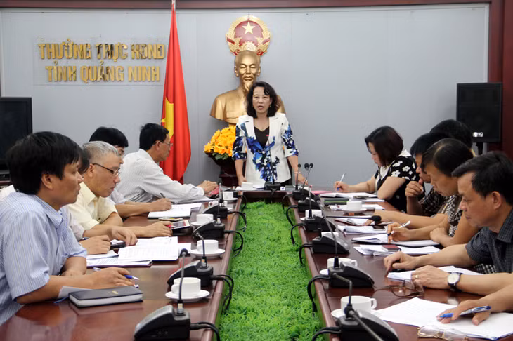 Đồng chí Vũ Thị Thu Thủy, Phó Chủ tịch UBND tỉnh phát biểu kết luận cuộc họp.