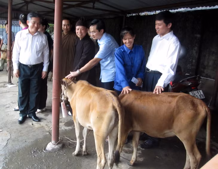 Trao tặng bò cho các hộ dân