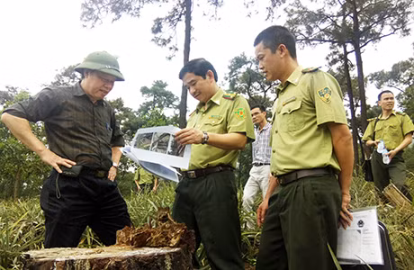 Các đơn vị chức năng tỉnh kiểm tra hiện trạng rừng phòng hộ đầu nguồn Yên Lập.
