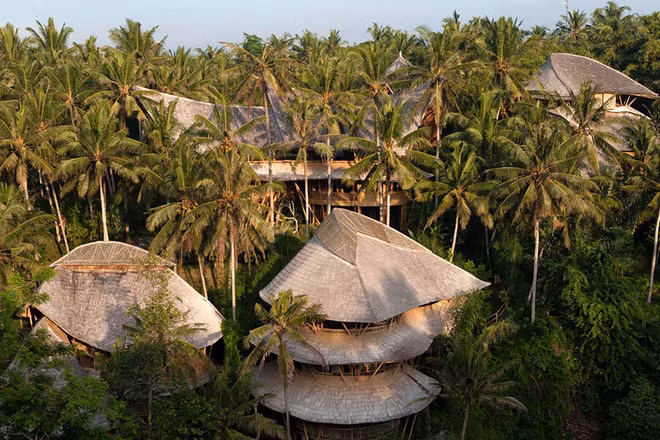  Rời bỏ sự nghiệp tươi sáng ở New York (Mỹ), Elora Hardy tới Bali (Indonesia) để xây những ngôi nhà tre. Cô cùng những cộng sự của mình và người dân bản địa tìm tòi, cải tiến việc sử dụng tre xây nhà.