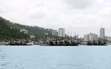 Ảnh minh hoạ
