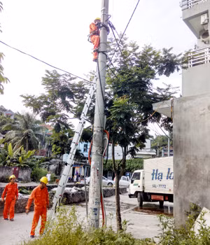 Công nhân Điện lực Hạ Long tiến hành kiểm tra hệ thống lưới điện.
