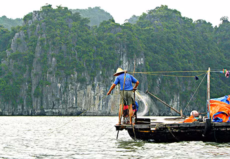 Ảnh minh hoạ