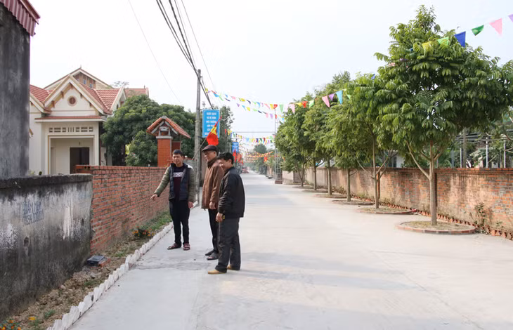 Cán bộ thôn Bình Sơn Tây, xã Bình Dương vận động nhân dân tích cực trồng hoa, cây xanh làm đẹp cảnh quan và giữ gìn vệ sinh môi trường thôn xóm.