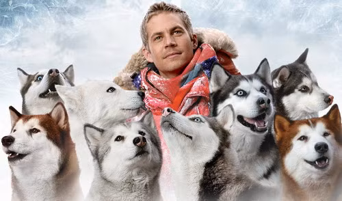 "Eight Below"- bộ phim có sự tham gia của Paul Walker - từng lấy đi nước mắt của nhiều khán giả vào năm 2006.