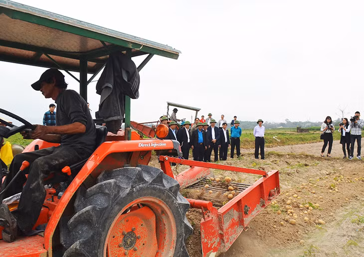 Người dân ứng dụng máy thiết bị máy móc trong khâu thu hoạch khoai