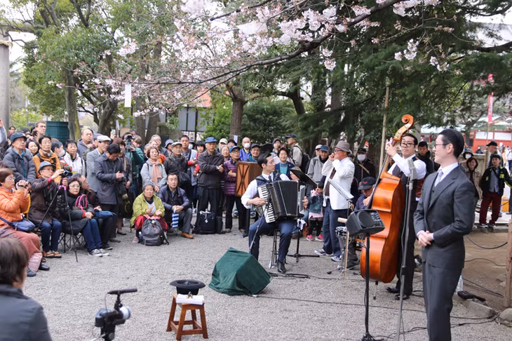 Người dân và khách du lịch thưởng thức các chương trình âm nhạc trong mùa hoa anh đào ở Asakusa, Tokyo. 
