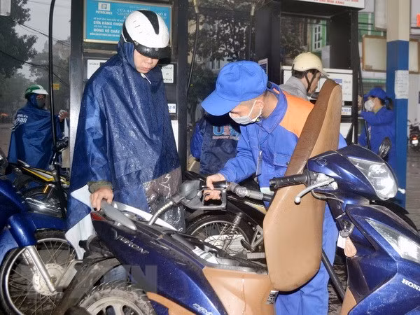 Ảnh chỉ có tính minh họa. (Ảnh: Đỗ Phương Anh/TTXVN)