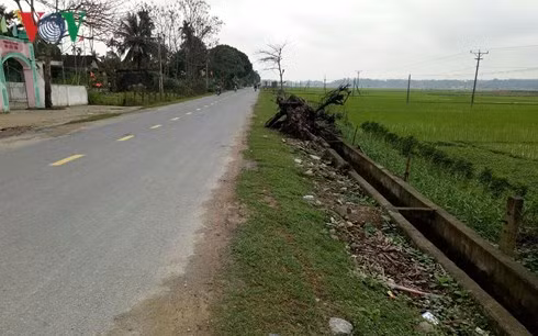 Hiện trường vụ tai nạn