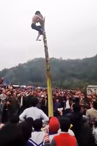 Nam thanh niên trèo lên ngọn cây chuối. Ảnh cắt từ video.