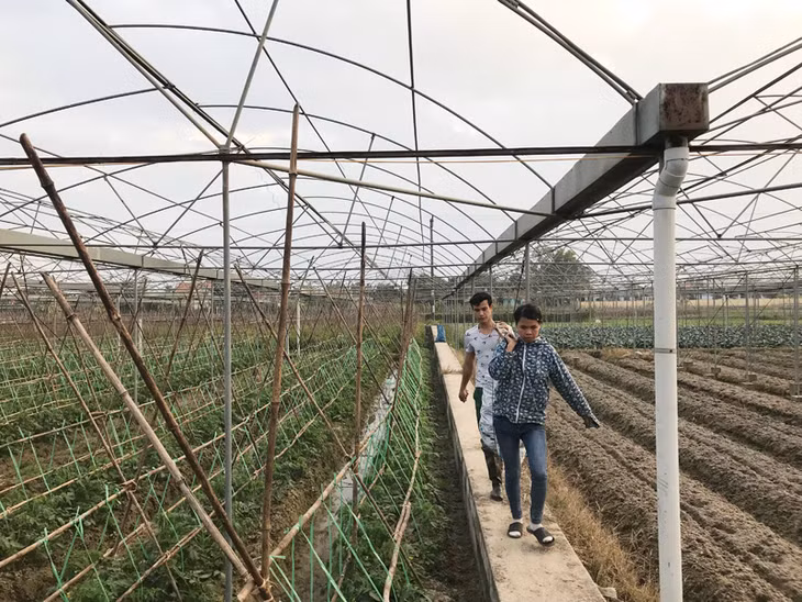 lạm dụng các loại phân bón hóa học, thuốc bảo vệ thực vật trong sản xuất nông nghiệp 