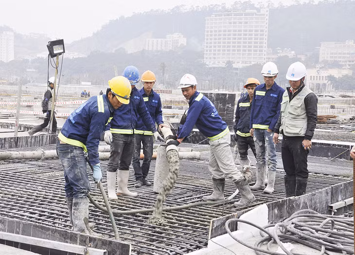 Công nhân thi công dự án