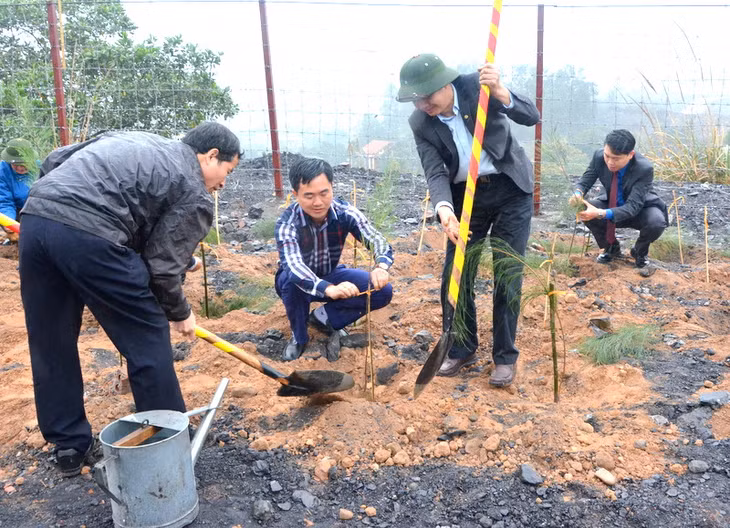 Lạnh đạo Công ty CP than Núi Béo cùng các cán bộ tham gia trồng cây trên khu vực mặt bằng +35